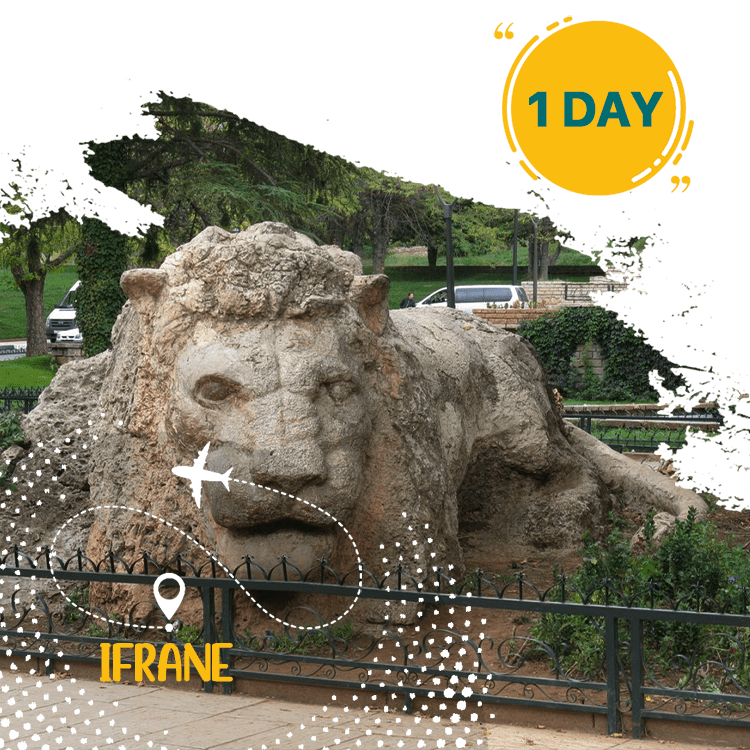 Full day trip from Fez to Ifrane
